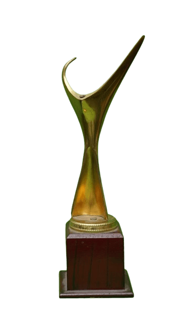 TEConline award 17107018135